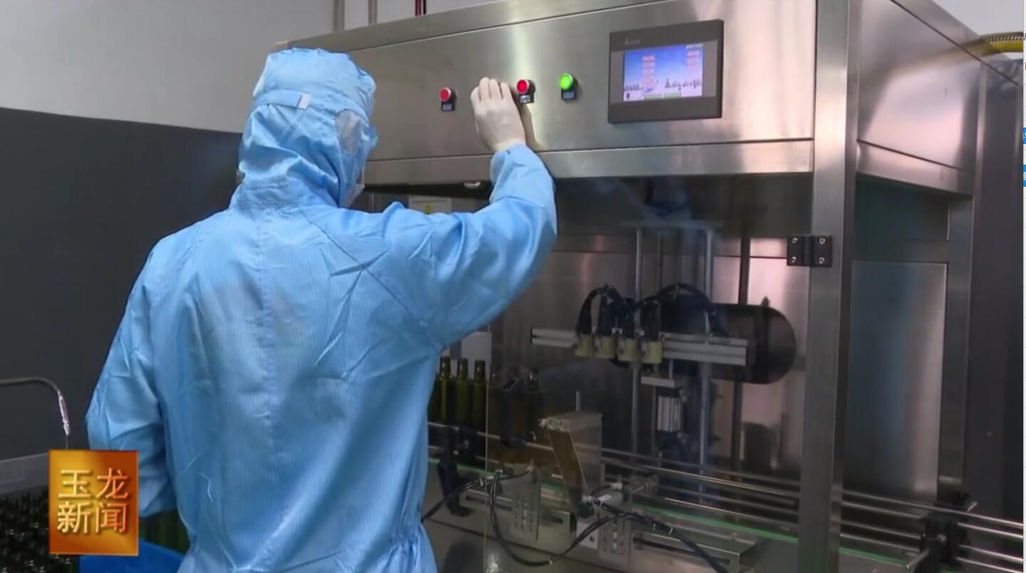 歷時16年三全公司成為種產銷一體化油橄欖企業(yè)_久顧特級初榨橄欖油